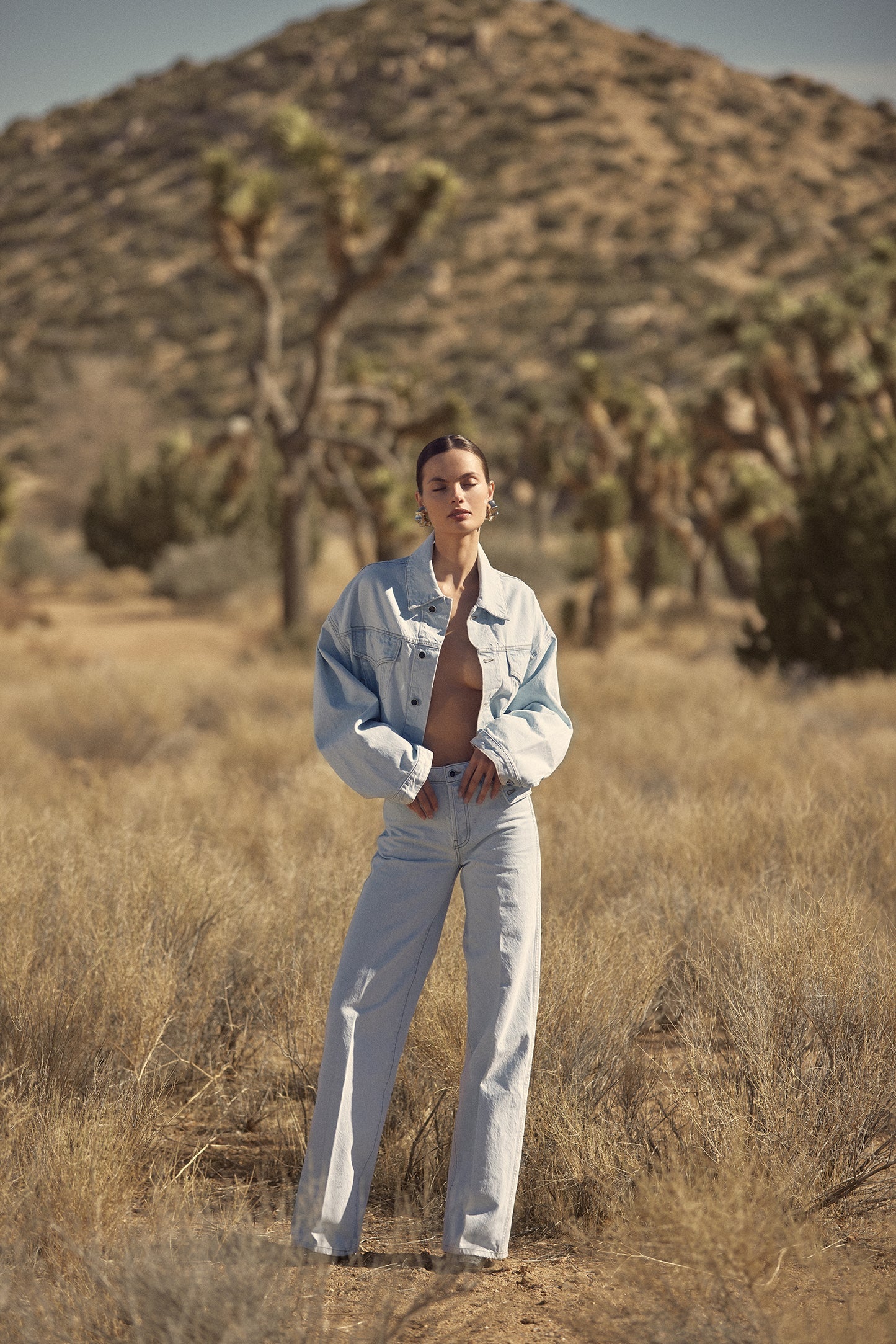 The Perfect Denim Jacket (Vintage Light)