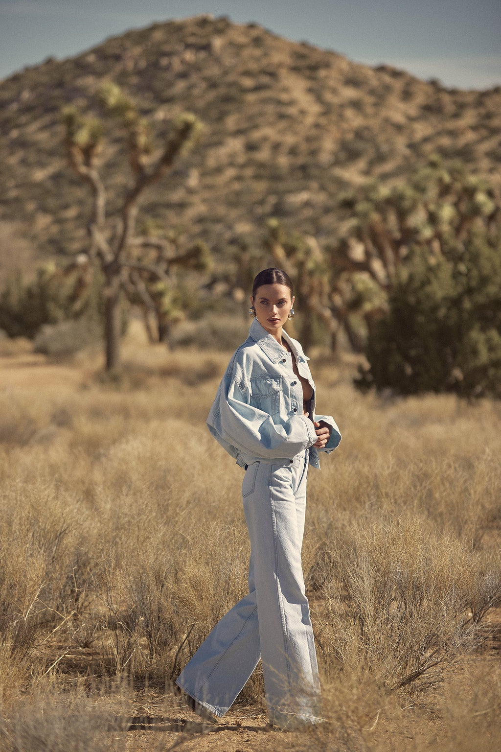 The Wide Leg Jean (Vintage Light)