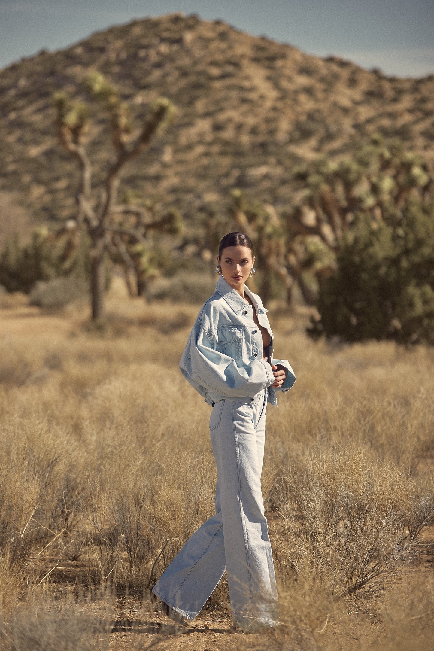 The Wide Leg Jean (Vintage Light)