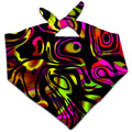 Color Evolution Bandana