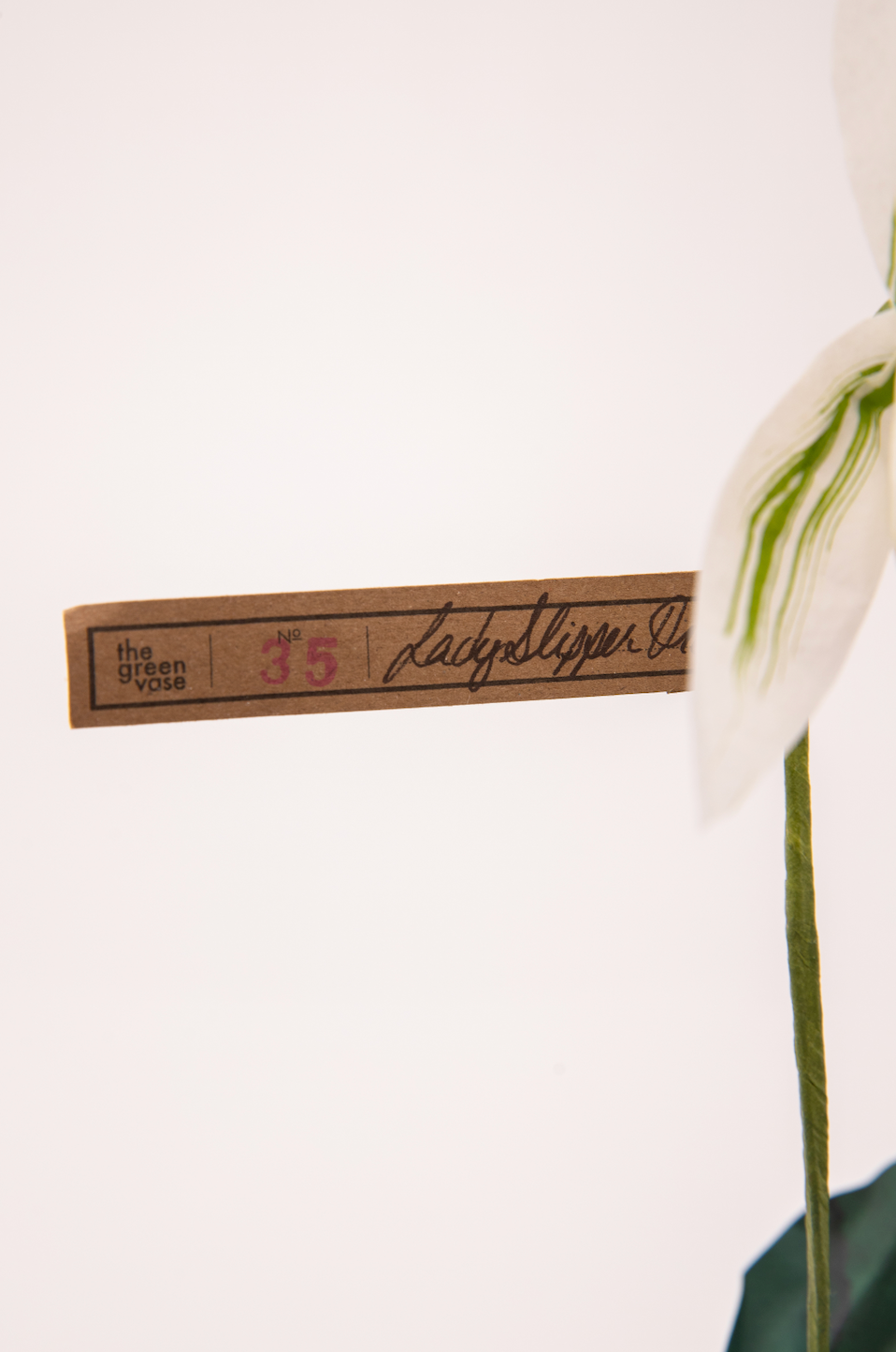 Ropa interior de Lounge