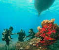 Scuba Diving and Snorkeling Boat Trip