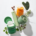 Sculpt & Smooth Facial Ritual By Plantifique