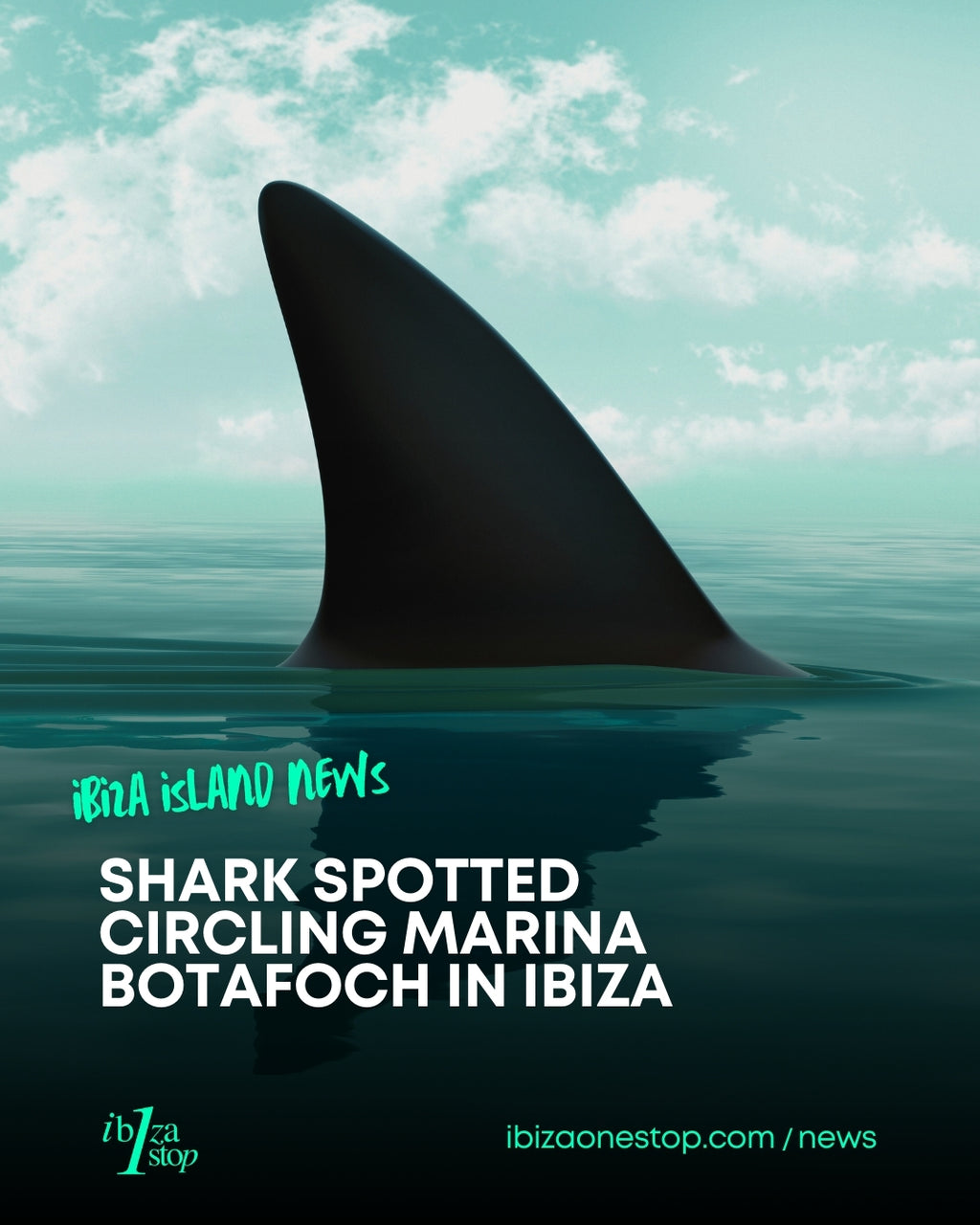 Shark spotted circling Marina Botafoch in Ibiza