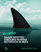 Shark spotted circling Marina Botafoch in Ibiza