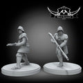 Shatter viceroy soldiers, Black Remnant