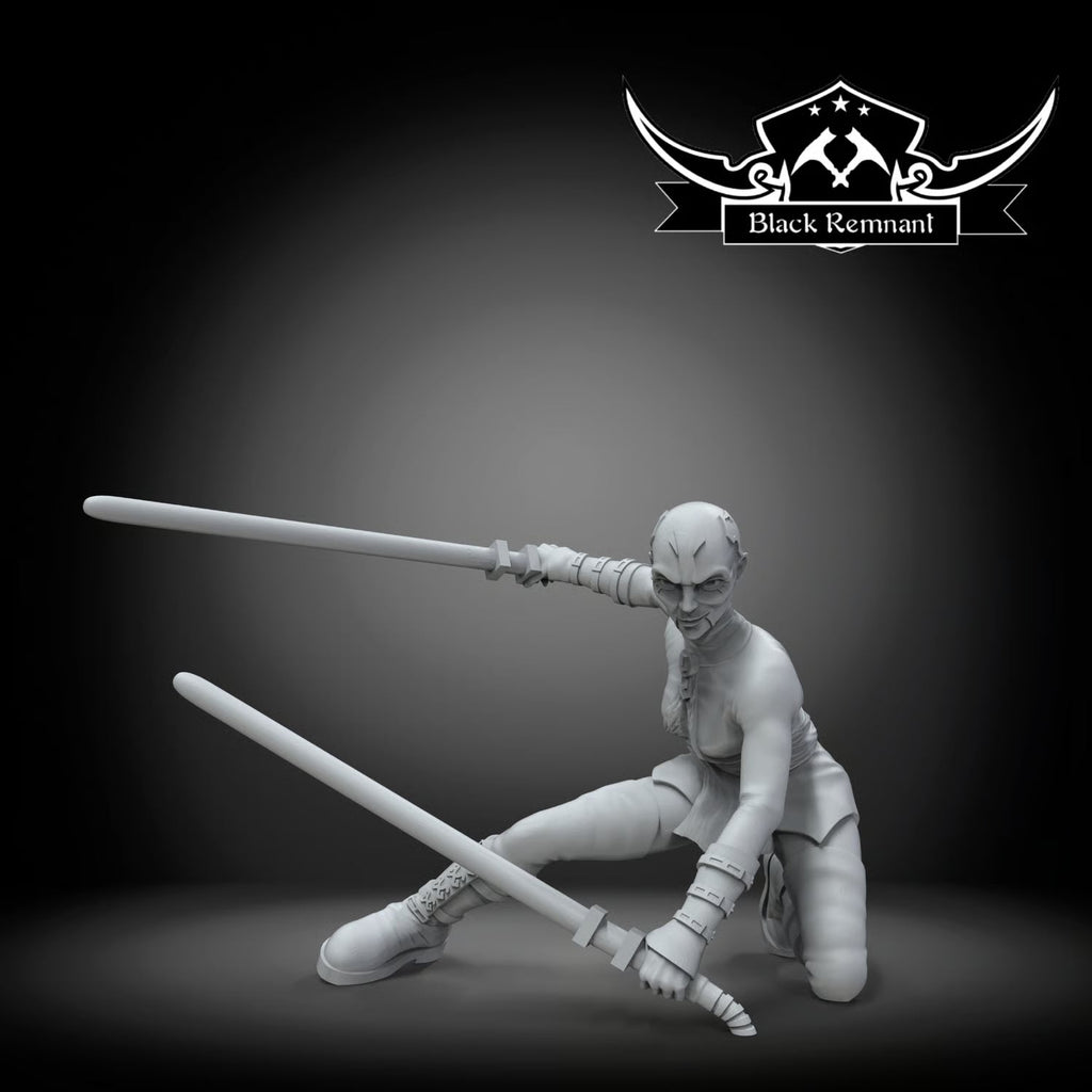 Sister assassin B, Black Remnant