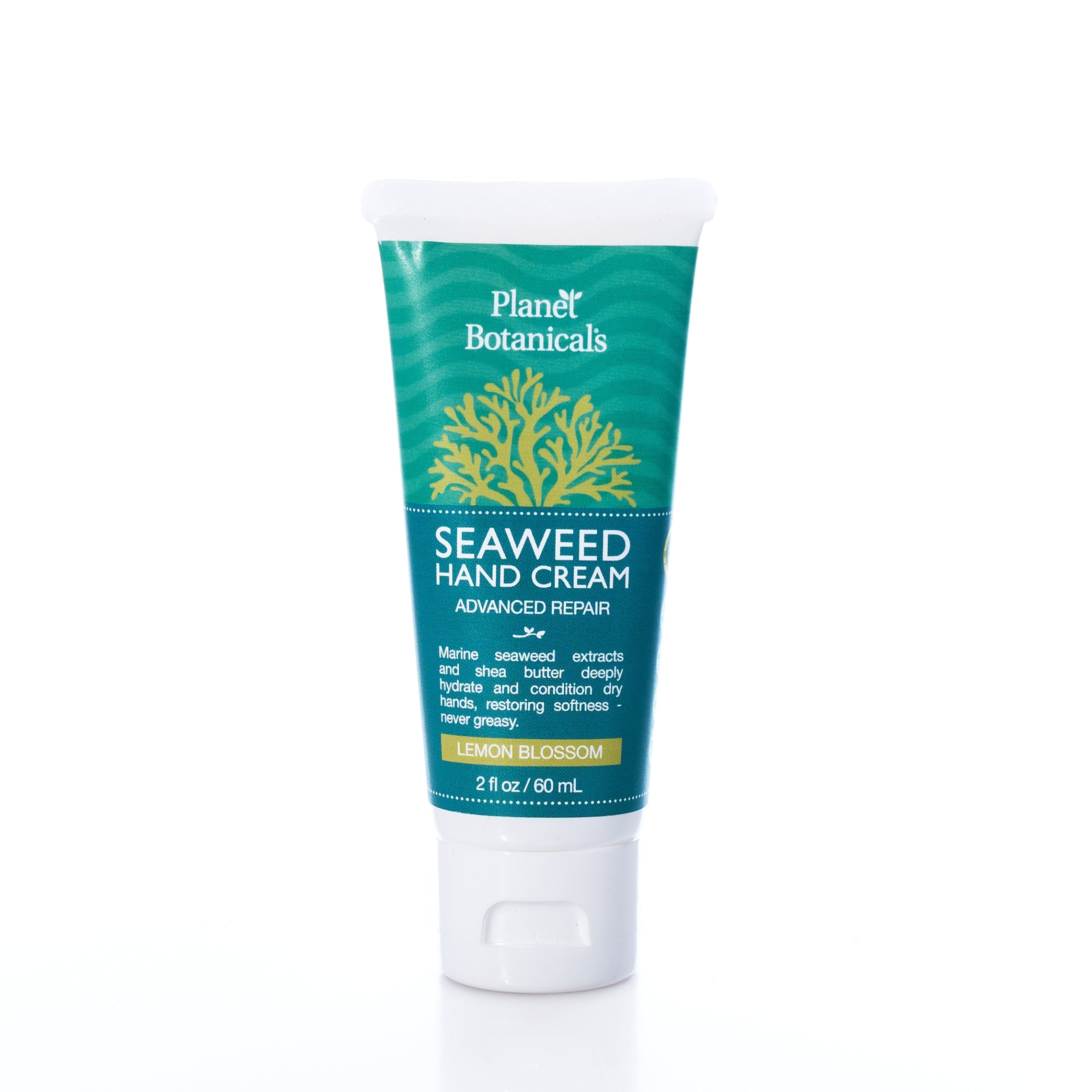 Planet Botanicals Seaweed Hand Cream 2 oz Handmade in Maine from Recycled Sails