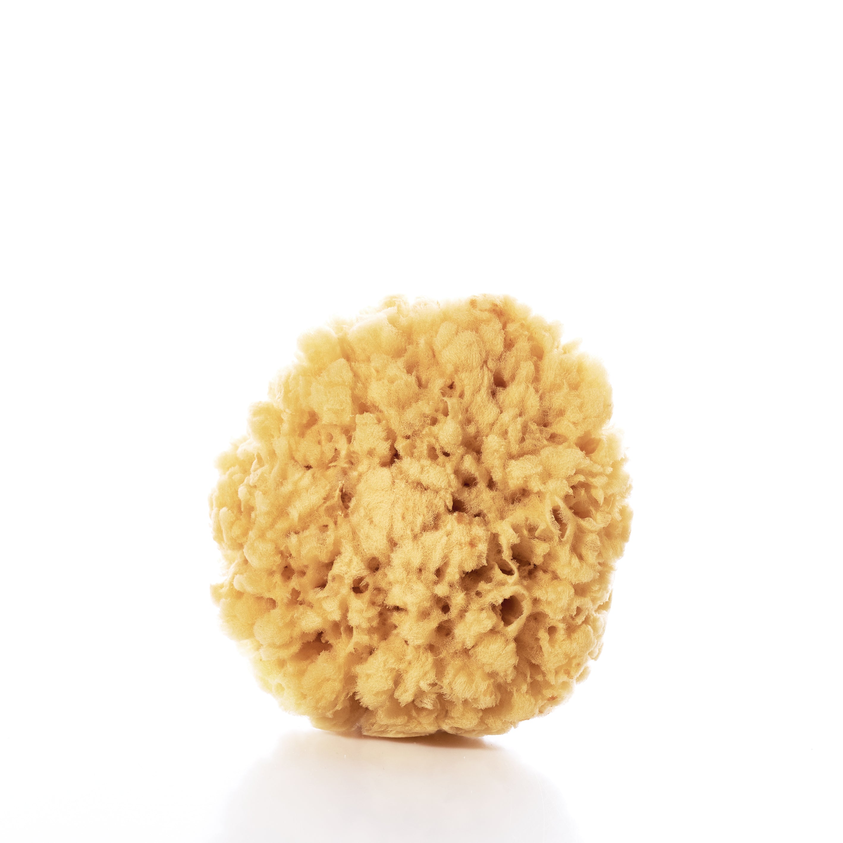 Natural Sea Sponge Handmade in Maine from Recycled Sails