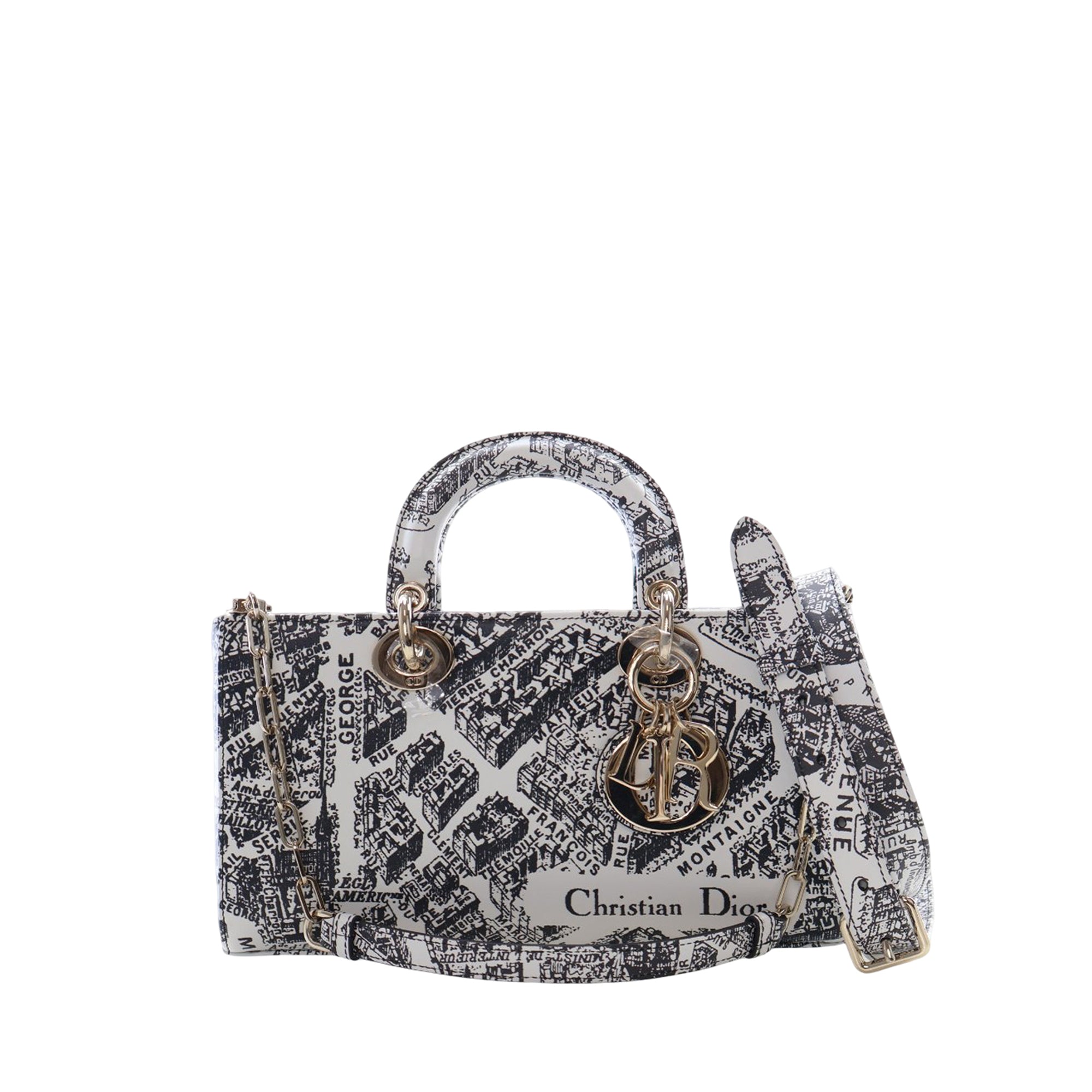 Medium Calfskin Plan De Paris Printed Lady D Joy