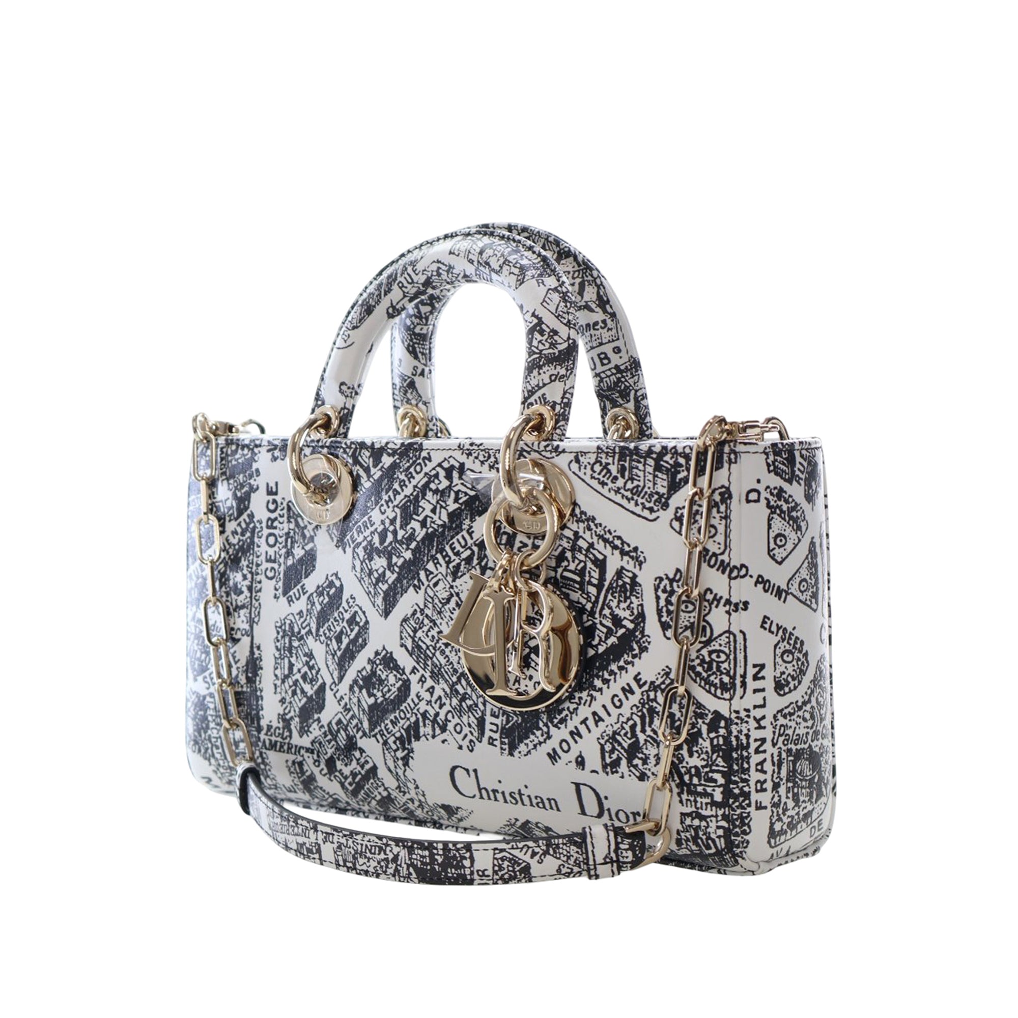 Medium Calfskin Plan De Paris Printed Lady D Joy