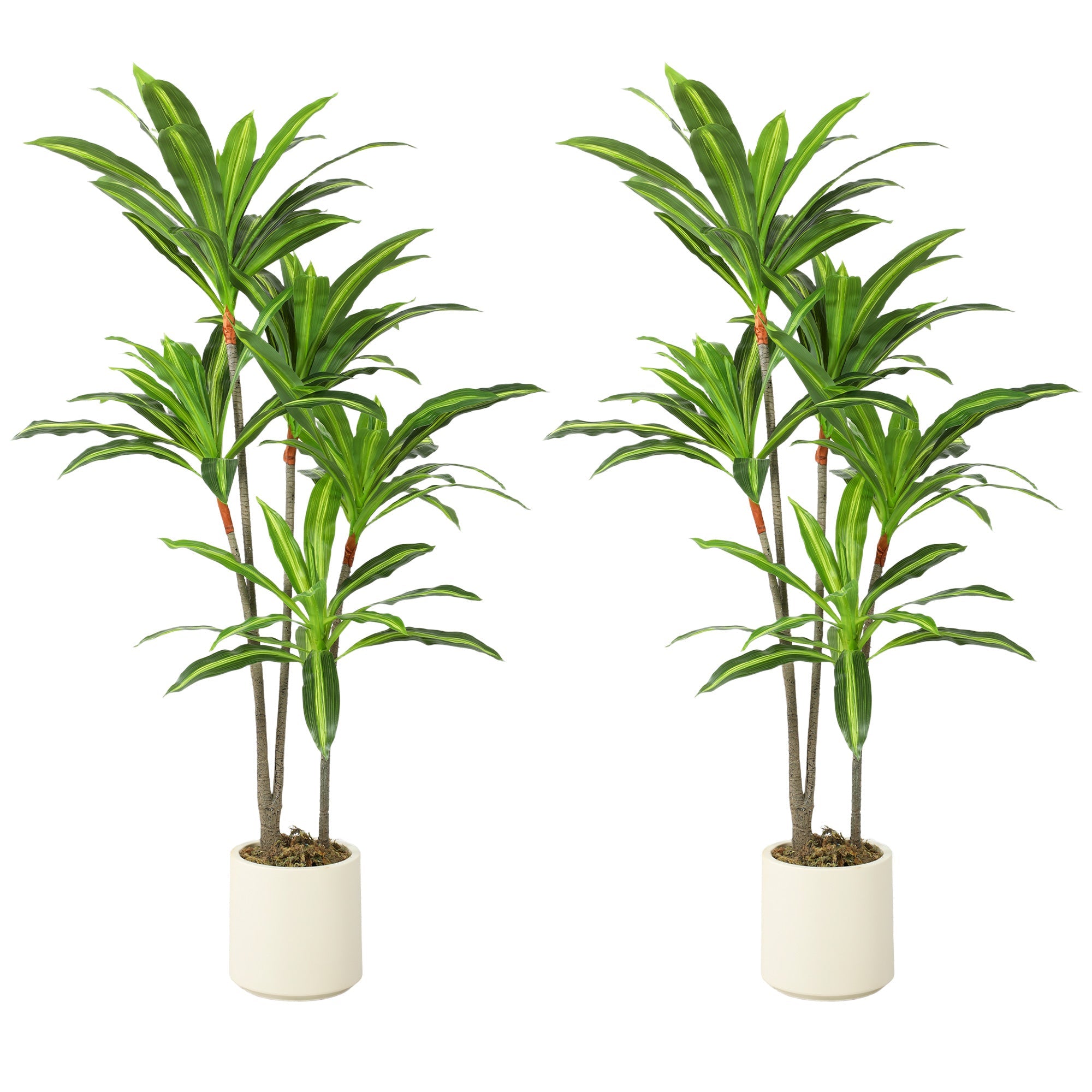 150cm Lifelike Artificial Dracaena Tree Set of 2 with Bendable Trunks & White Planters, Green