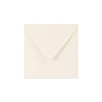 Paper Lined Envelopes