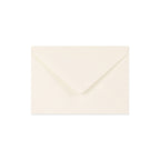Paper Lined Envelopes