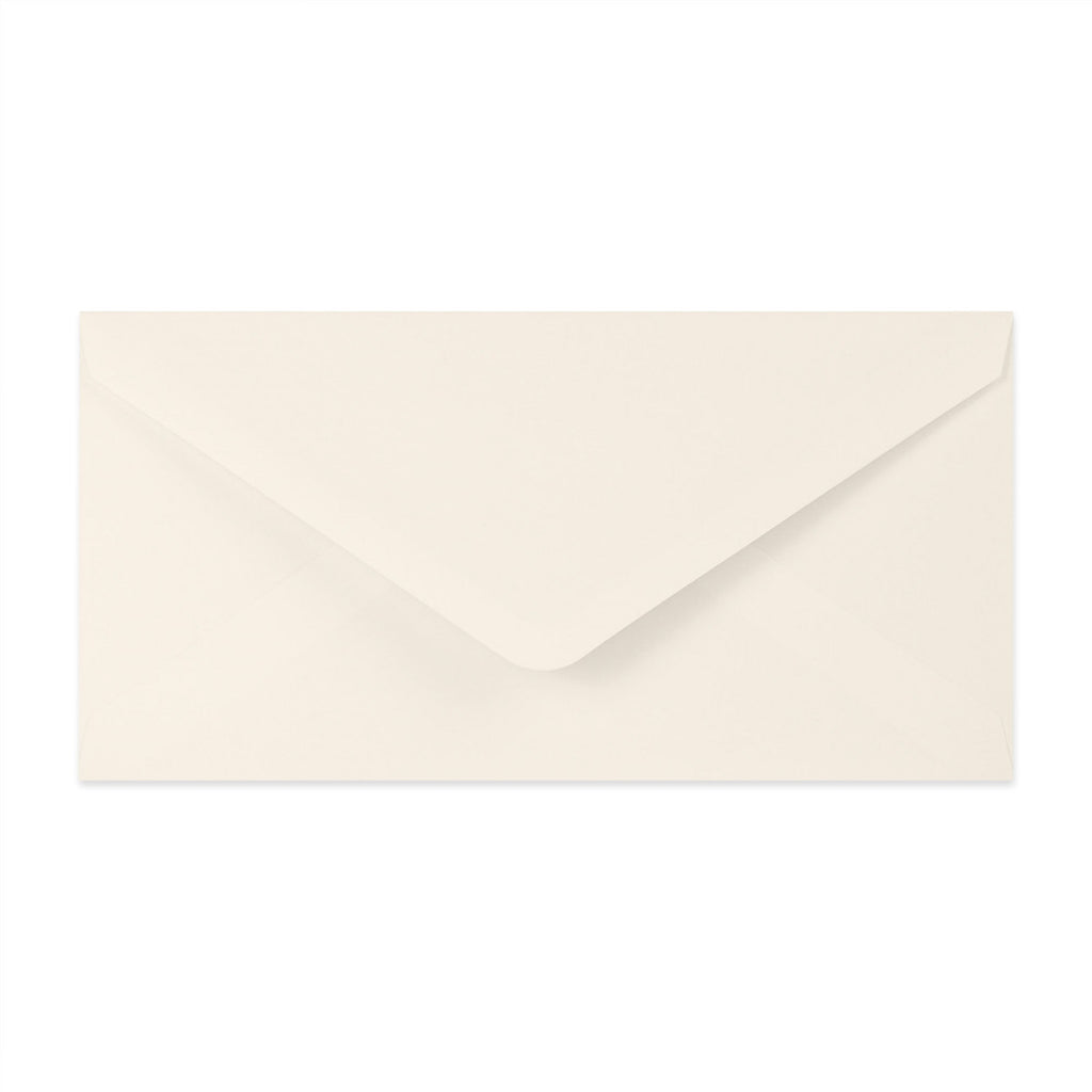 Paper Lined Envelopes