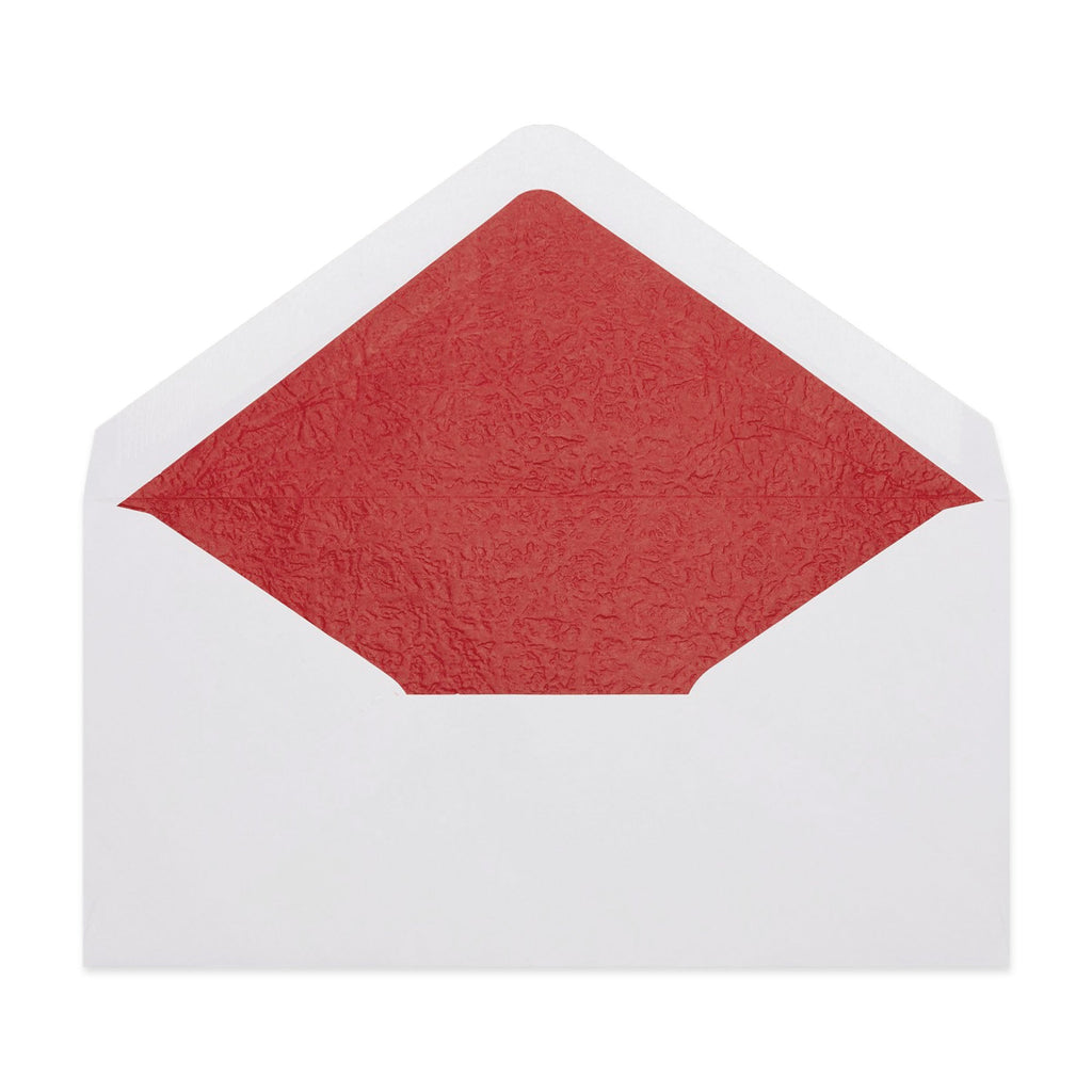 Paper Lined Envelopes
