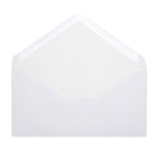 Paper Lined Envelopes
