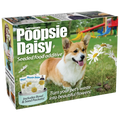 Poopsie Daisy By Prank-O (As Seen on Shark Tank)