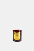 Trudon Absolu Candle — Brown
