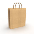 Twist Handle Paper Bags