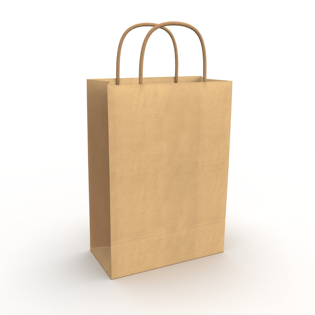 Twist Handle Paper Bags