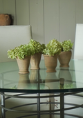 Terra Vase Set