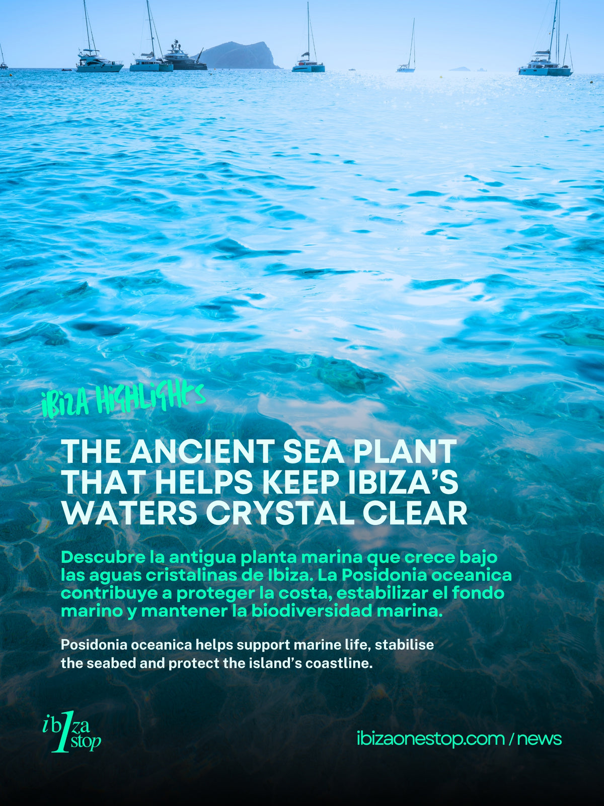 Ibiza’s Crystal-Clear Waters Have an Ancient Ally Beneath the Sea