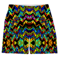 The Fold Weekend Shorts