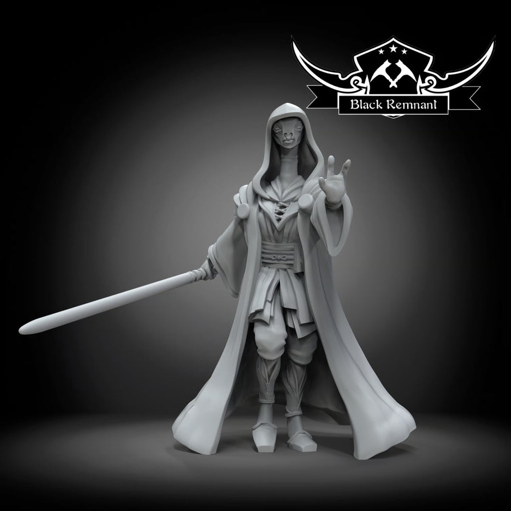 The noble jedi, Black Remnant