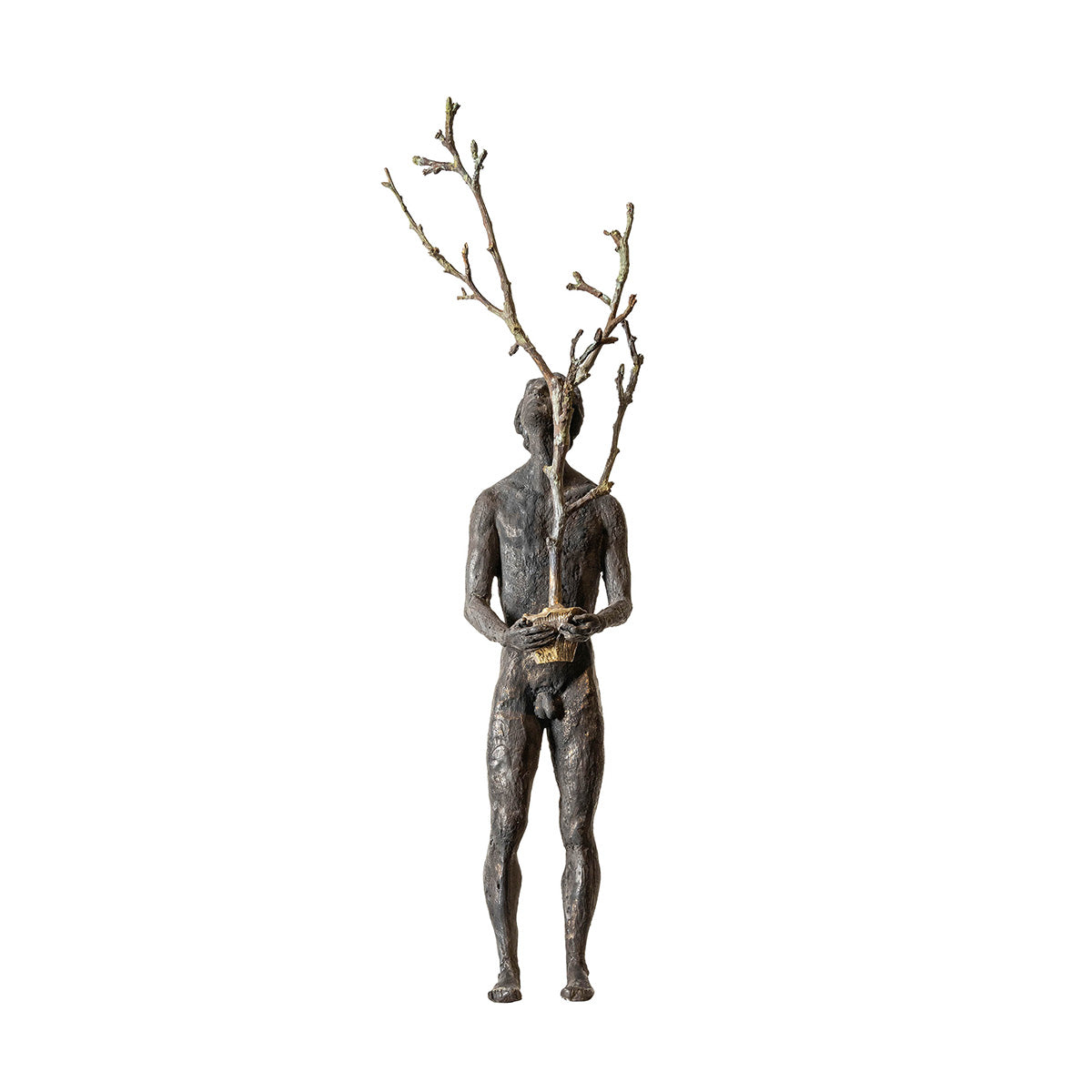 Thoughts III - The Tree