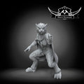 Tiger insurgent, Black Remnant