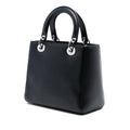 Medium Calfskin Dragonfly Embellished Lady Dior