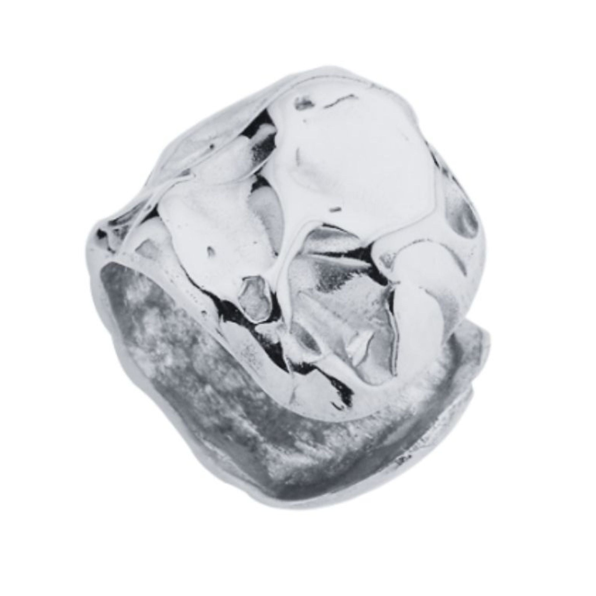 Amorphous Cartilage Earrings | Silver