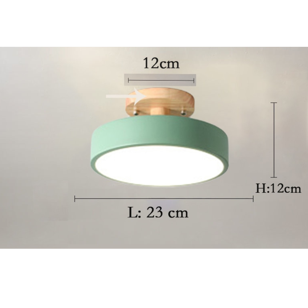 ArtZ® Nordic Ceiling Lamp - 1 Head Green