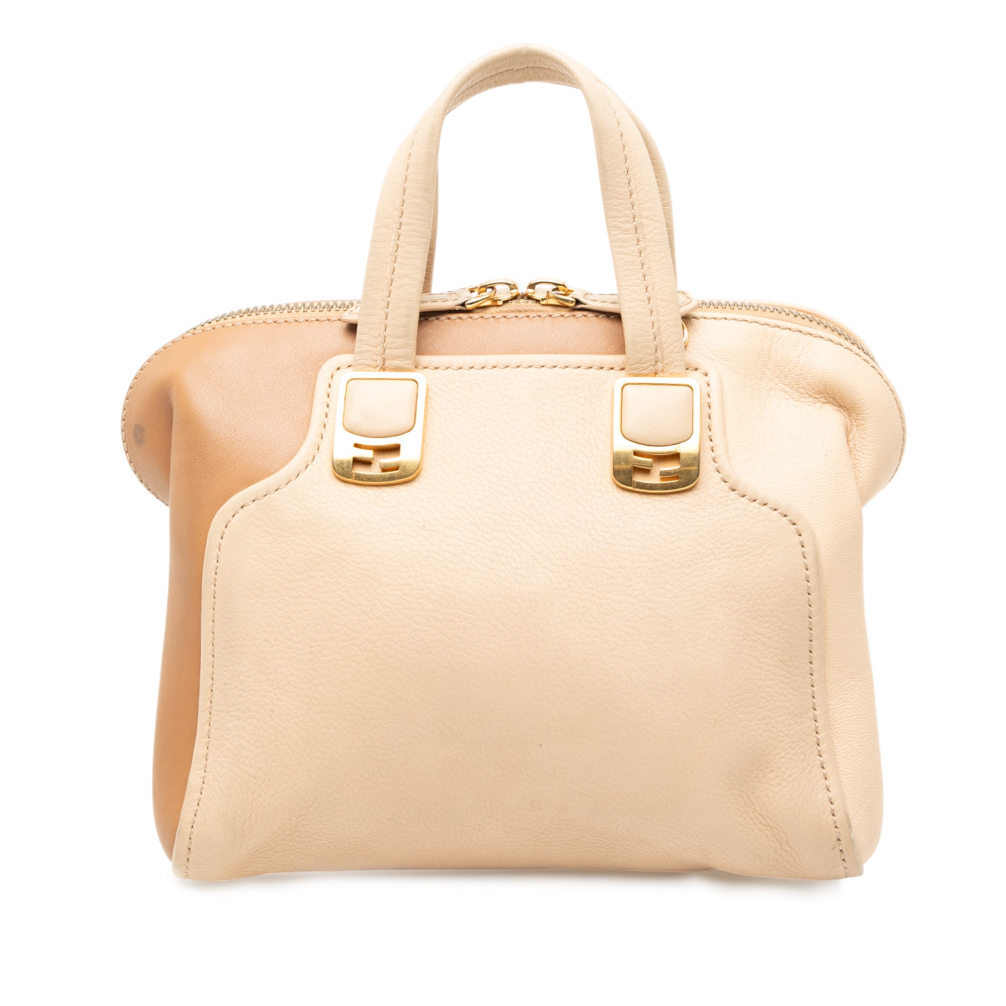 Small Tricolor Leather Chameleon Satchel