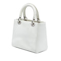 Medium Lambskin Paradise Lady Dior