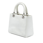 Medium Lambskin Paradise Lady Dior
