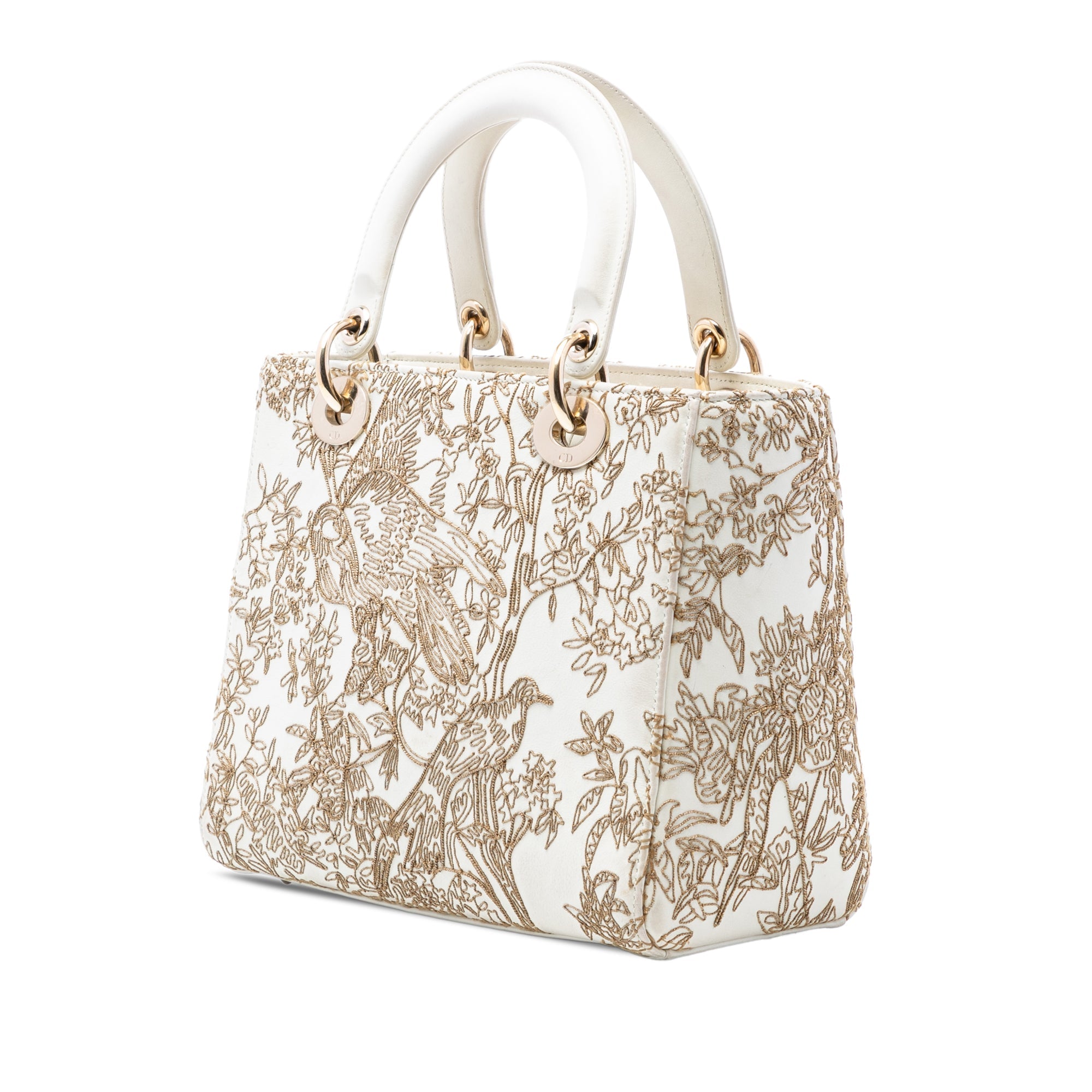 Medium Calfskin Embroidered Jardin D Hiver Lady Dior