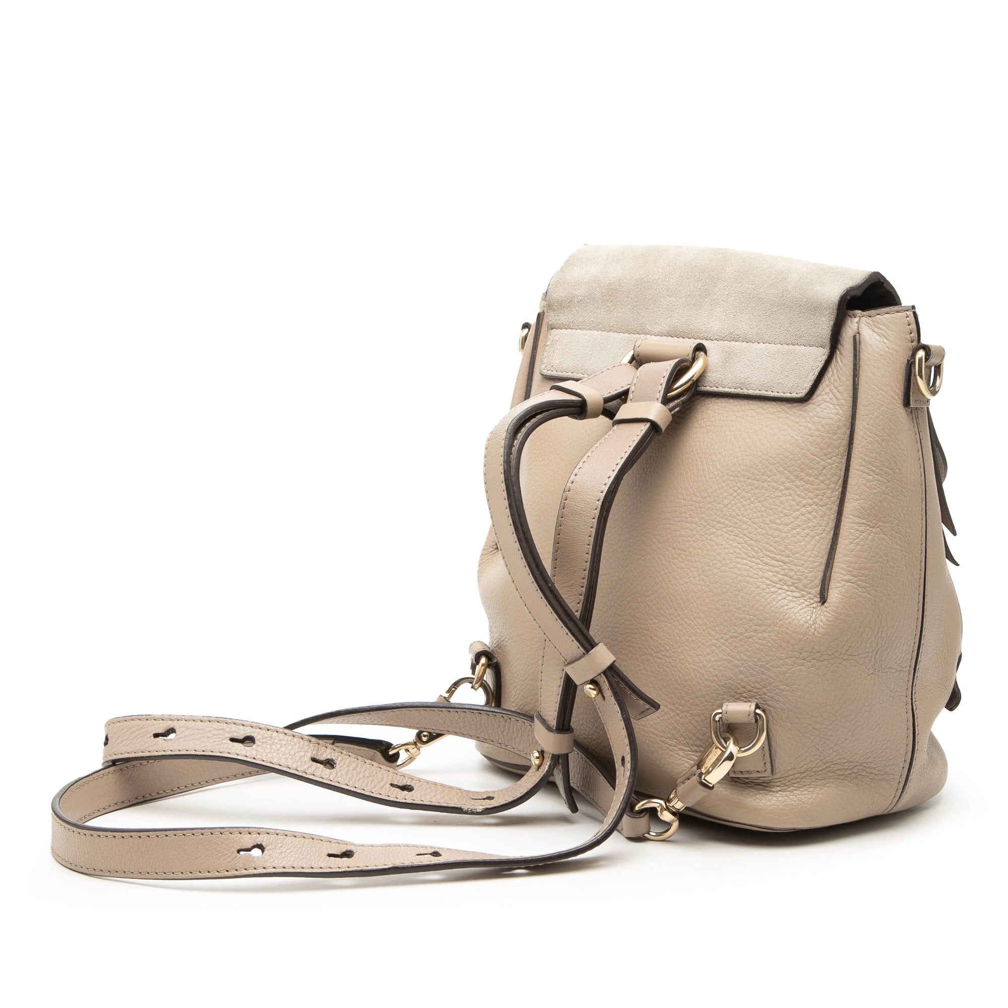 Small Calfskin and Suede Faye Backpack