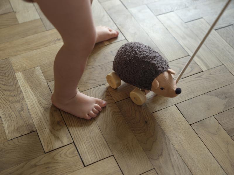 Pull Toy - Hannah Hedgehog