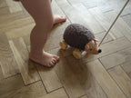 Pull Toy - Hannah Hedgehog