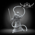 Warrior of the new emperor A, Black Remnant