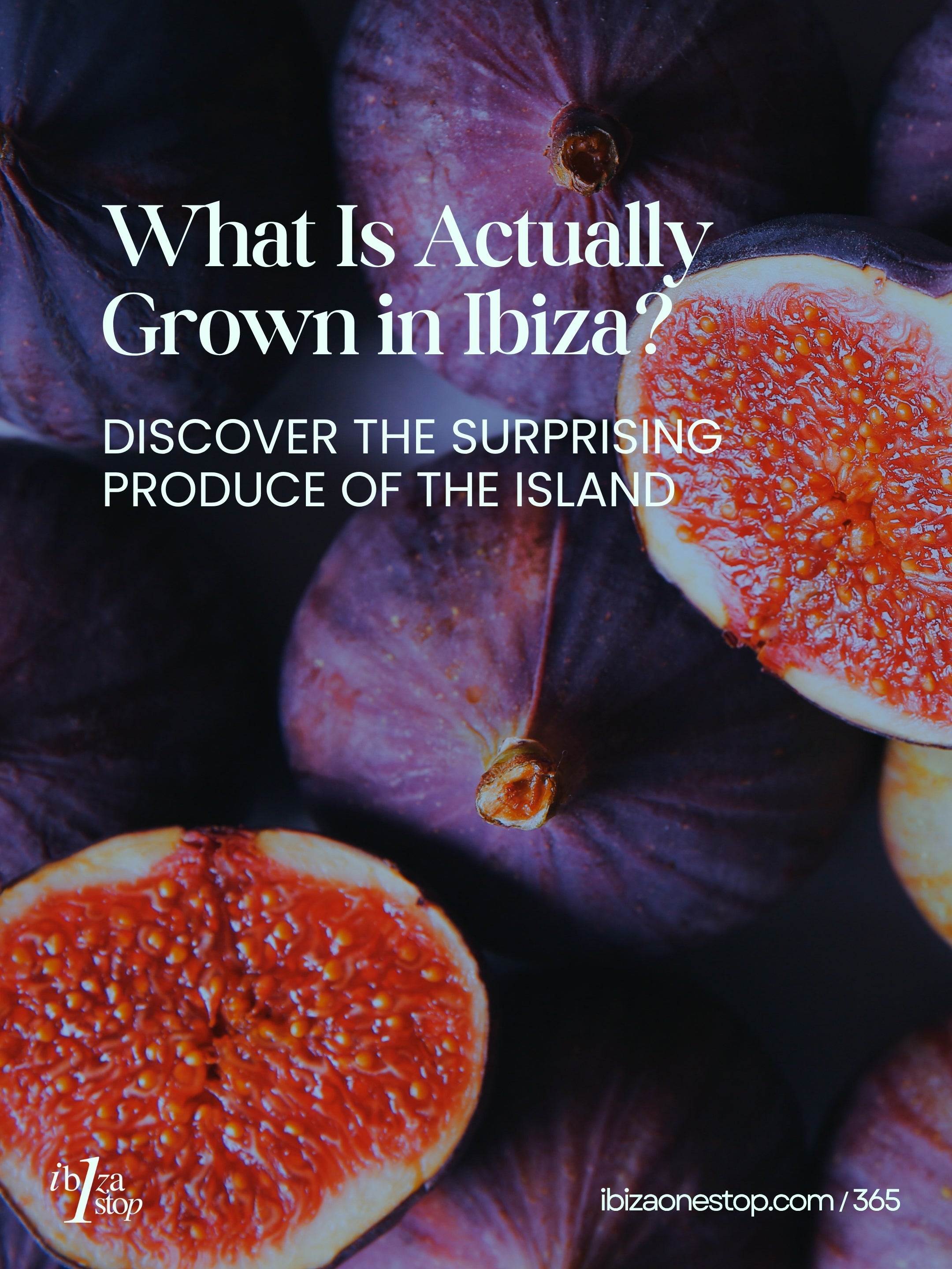 What Is Actually Grown in Ibiza? Discover the Surprising Produce of the Island