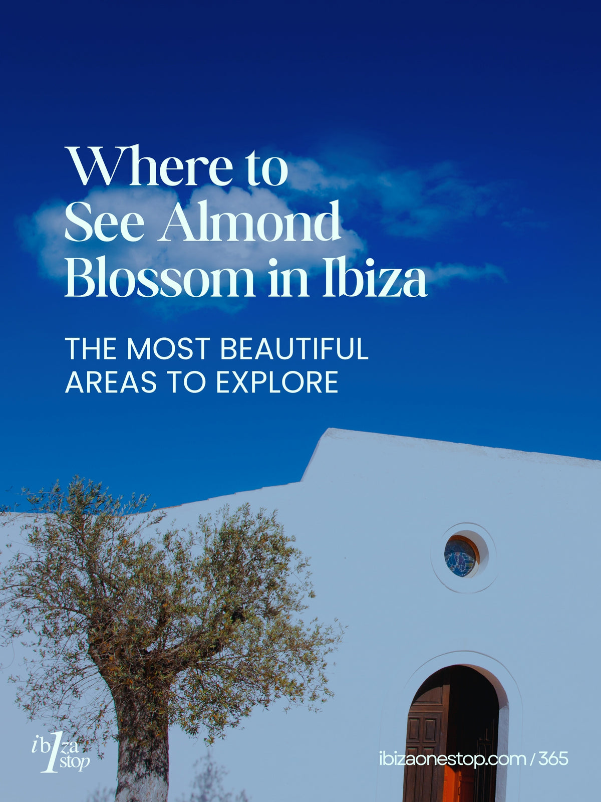 Where to See Almond Blossom in Ibiza: The Most Beautiful Areas to Explore