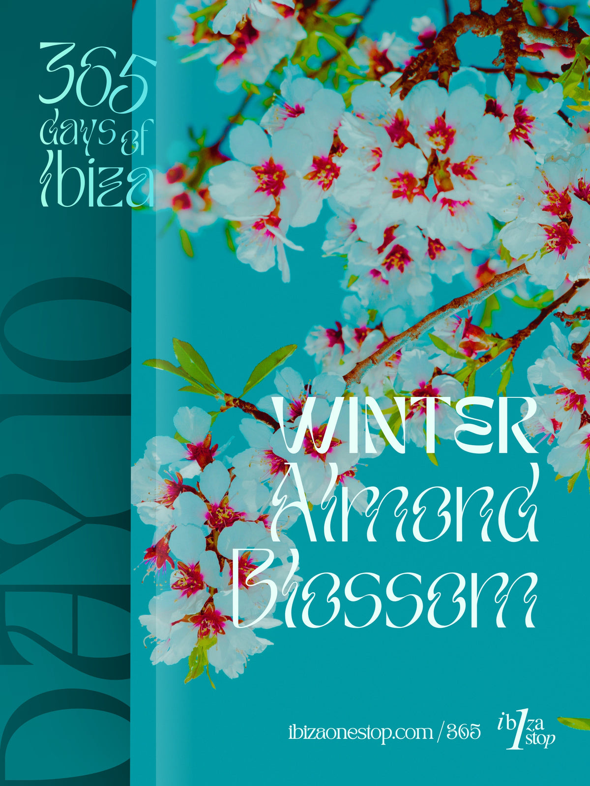 Day 10: Discover Ibiza’s Almond Blossom