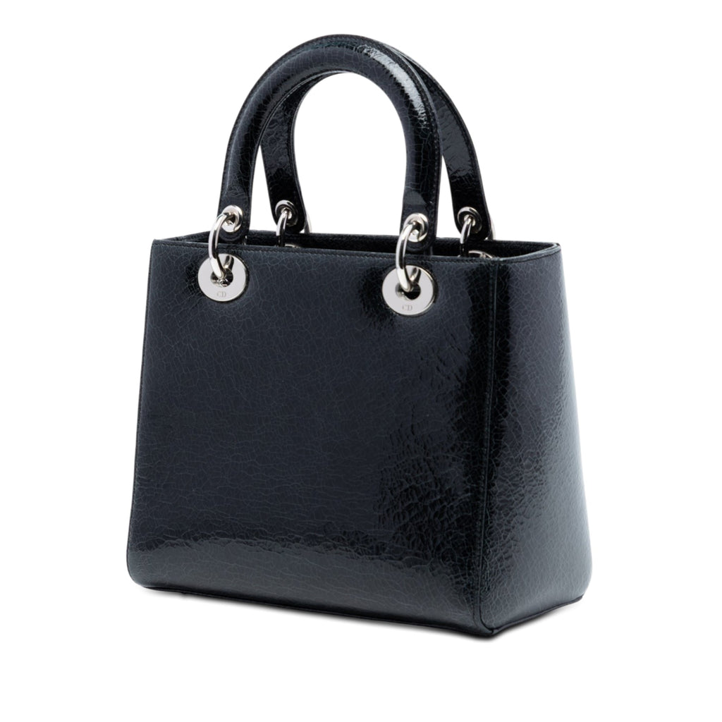 Medium Ceramic Effect Deerskin Jeweled Swan Lady Dior