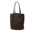 Monogram Mini Lin Bucket PM