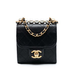 Mini Goatskin Chic Pearls Clutch On Chain
