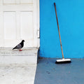 Yin Yang | Photography