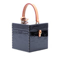 Monogram Vernis Bleecker Box Vanity Bag